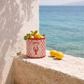Planter Lobster Can Dolomite Red 13.8x13.8x11.8cm
